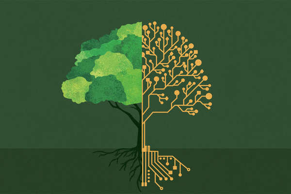 AI for Sustainable Solutions: Smart Resource Management and Eco-Optimizations Powered by AI